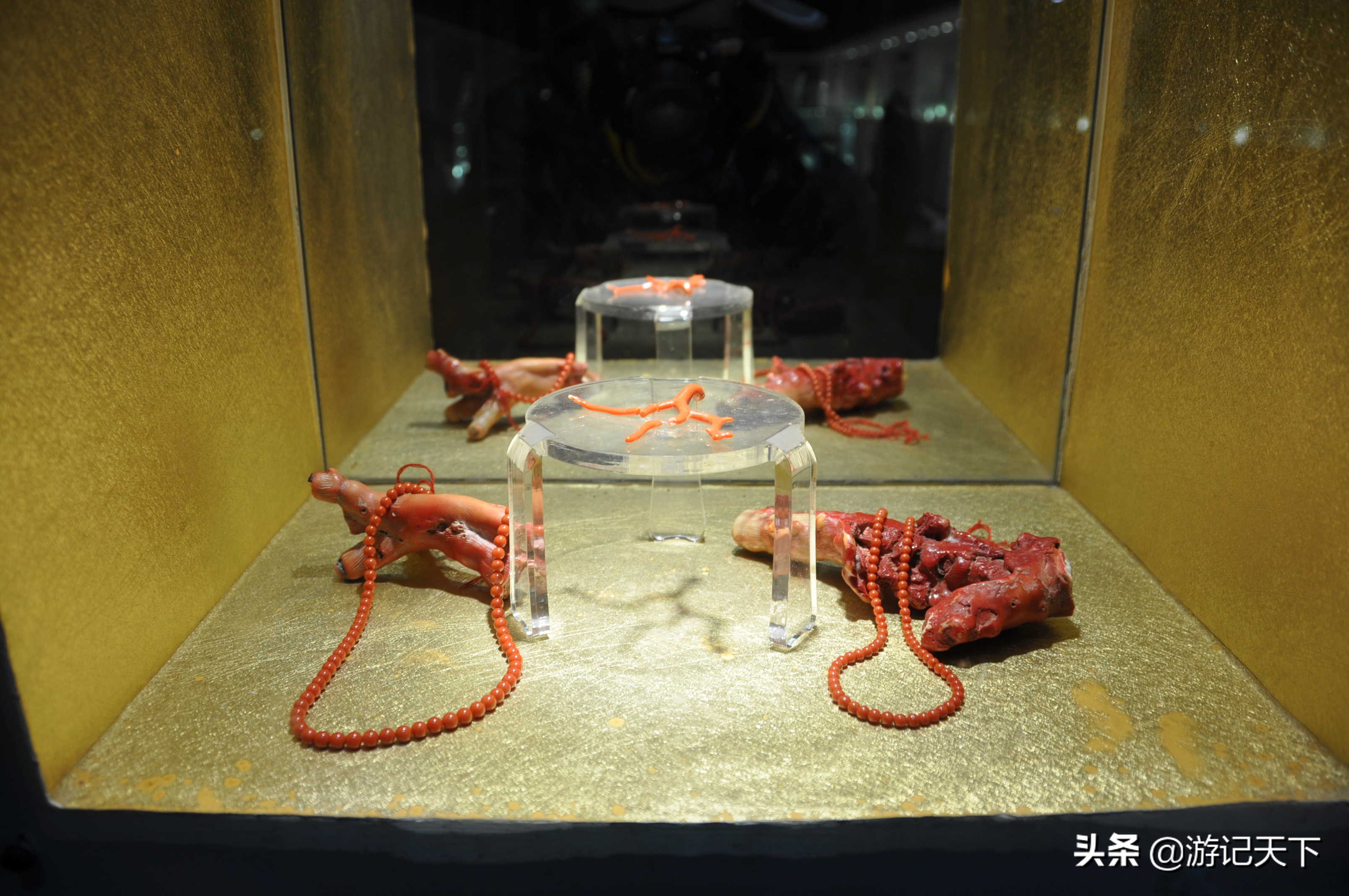 参观上海东方地质科普馆,上海东方地质科普馆需要预约吗