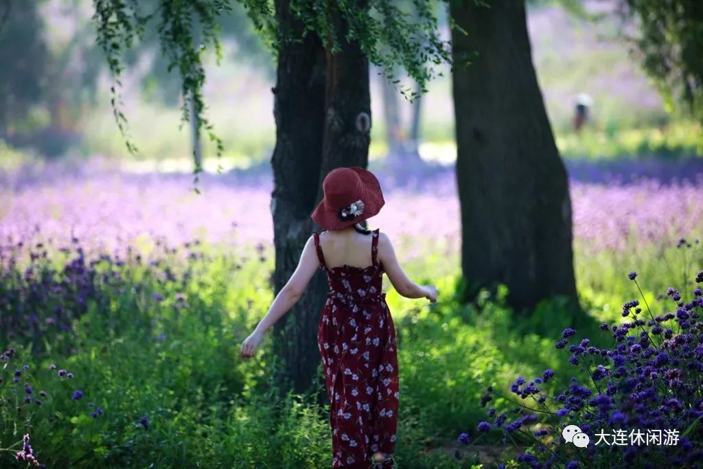 大连九月旅游攻略大全,大连11月旅游的最佳地方