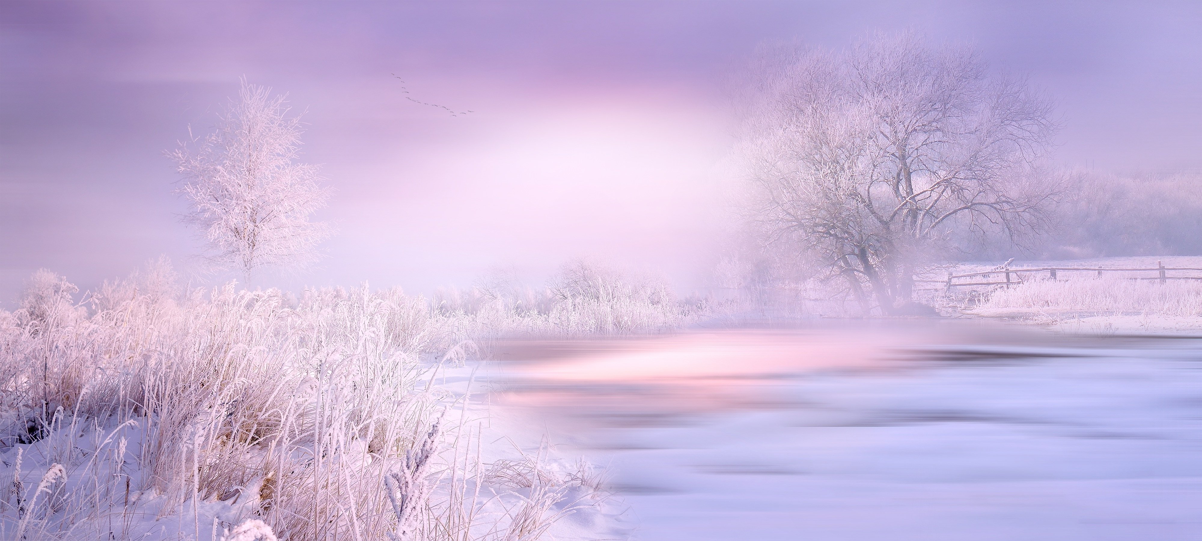 双语阅读:有一种魅力,叫做修养