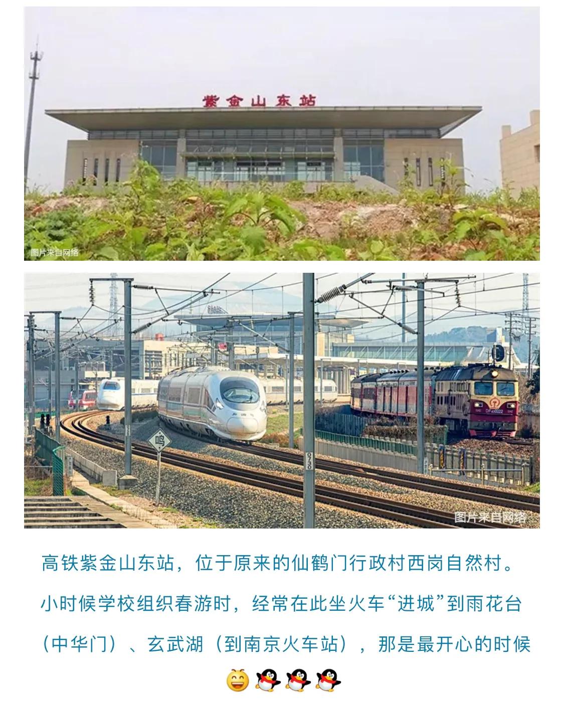 南京仙鹤门凶杀案,南京仙鹤门中学