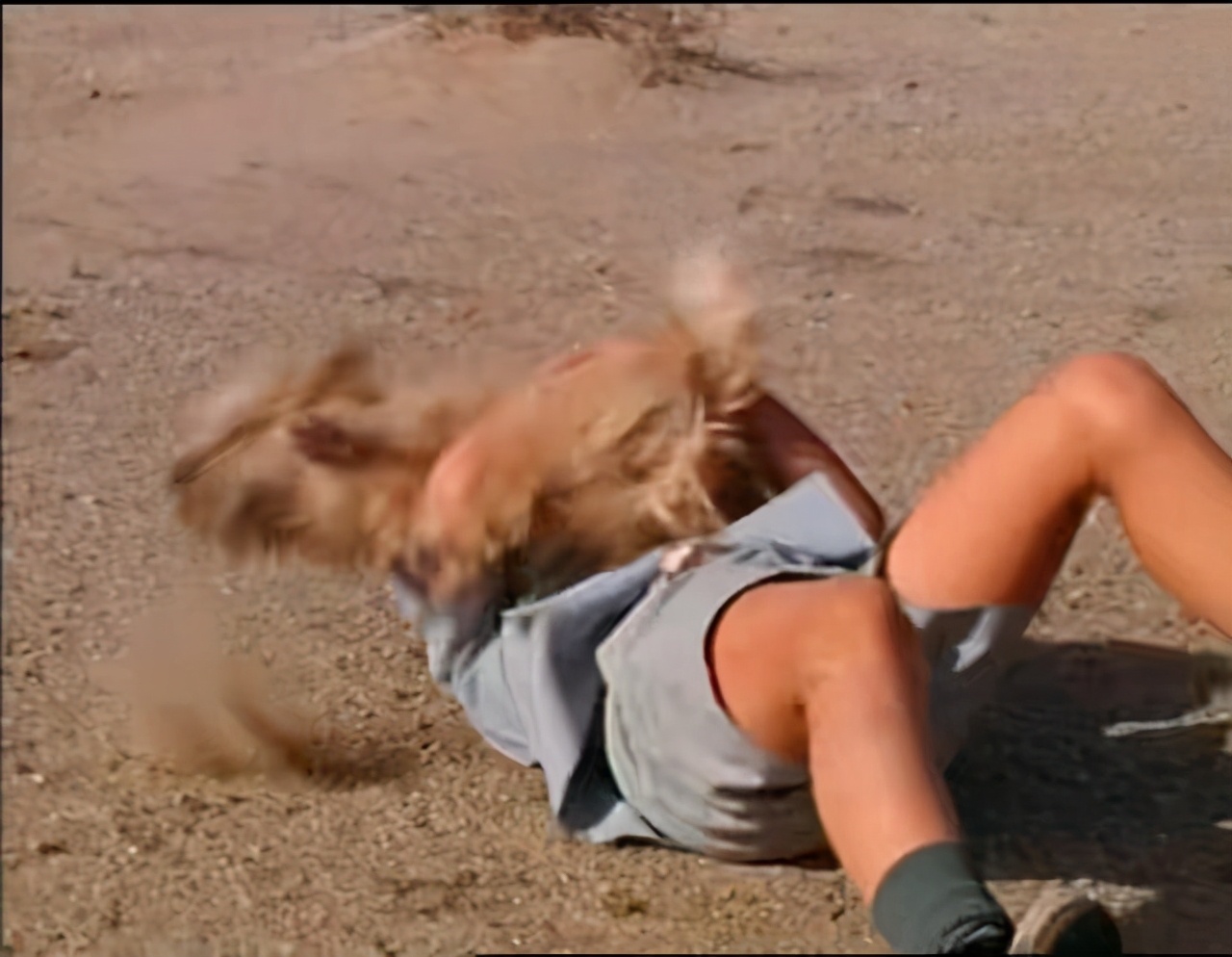 蛇咬蝎追，八岁男童如何在沙漠里生存三周？