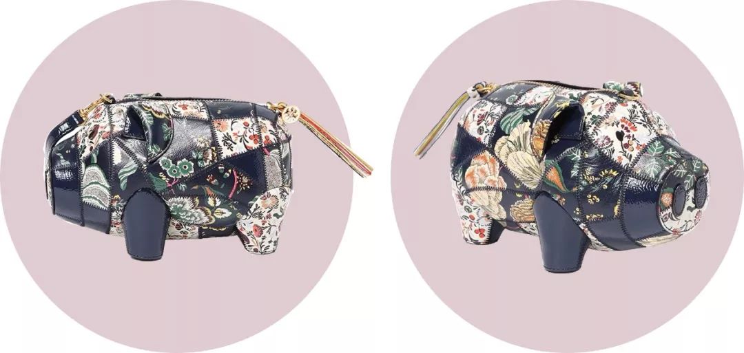 猪都拍时尚大片了，你还在穿妈妈给你买的红秋裤？