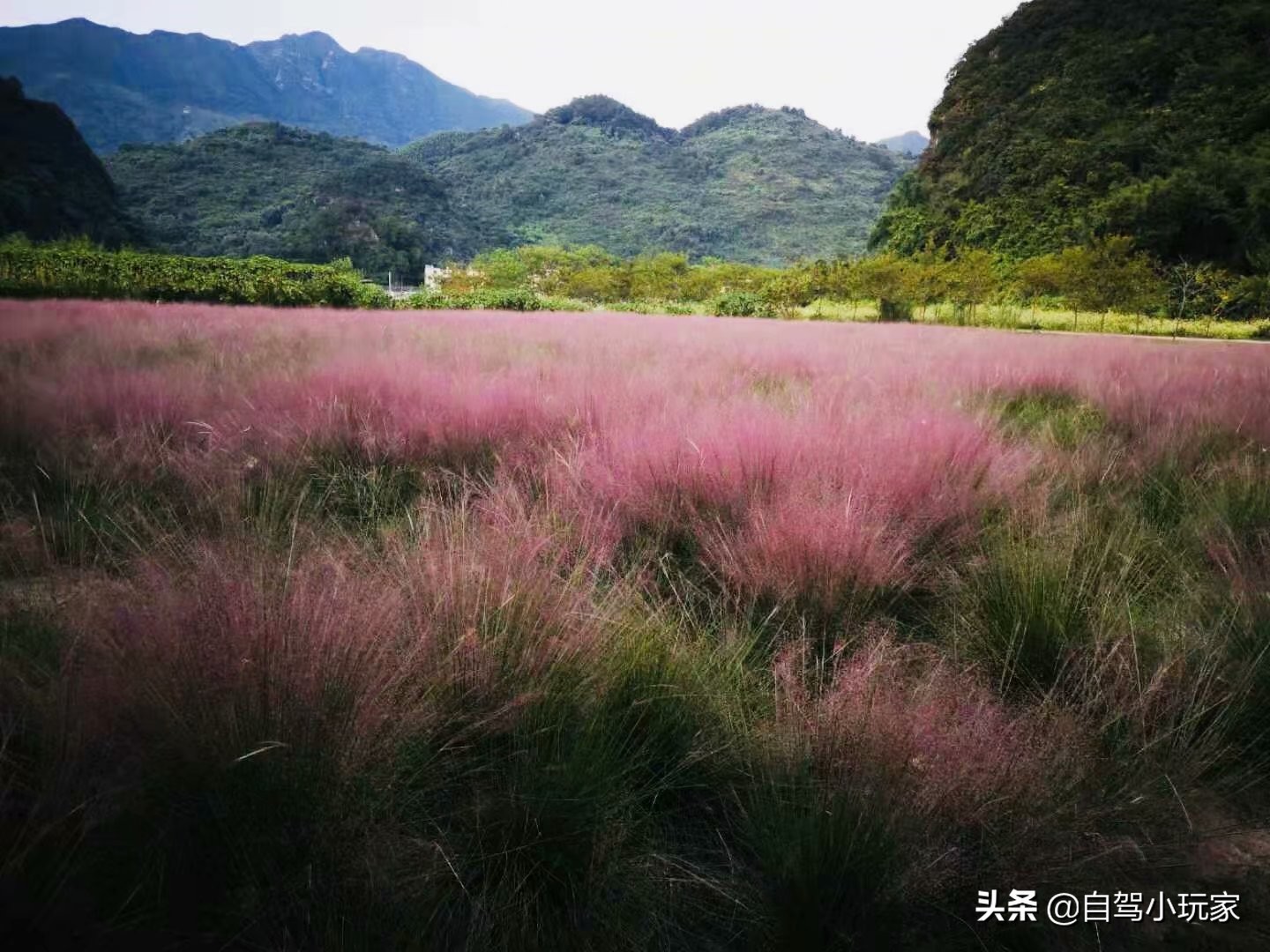 深圳附近很小众地方,深圳大鹏小众旅游景点