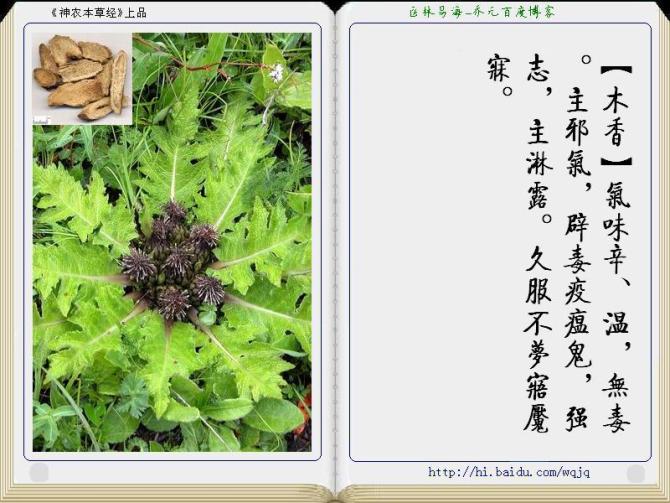本草纲目中药讲解视频,本草纲目中药图谱及药理讲解