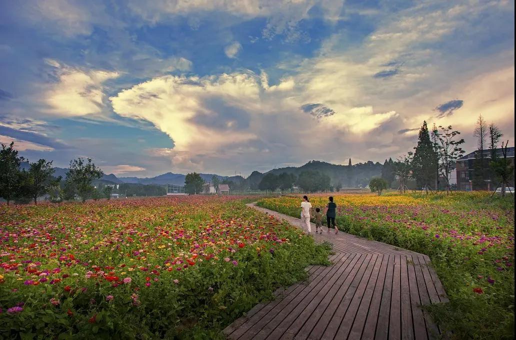 2019年杭州最美绿道,余杭街道苕溪北岸绿道