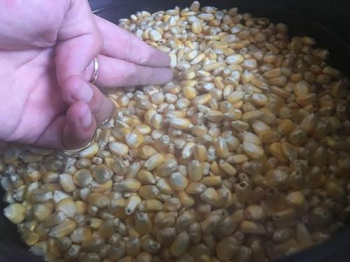 钓大物什么时机打最好,冬季钓巨物注意事项有哪些