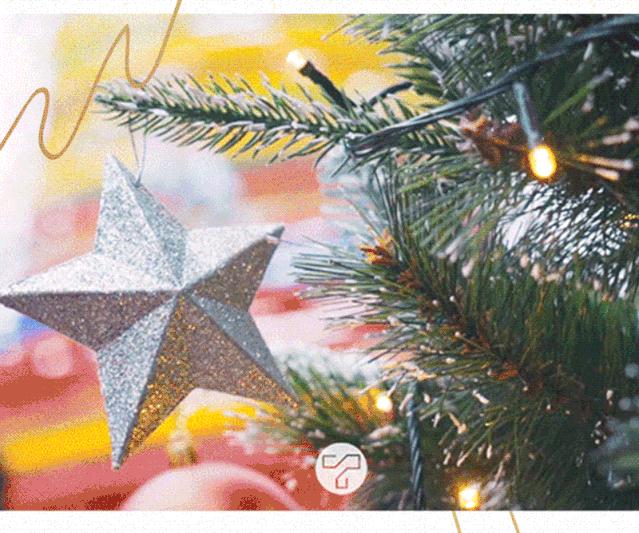 魔都圣诞奇境游,魔都圣诞打卡攻略