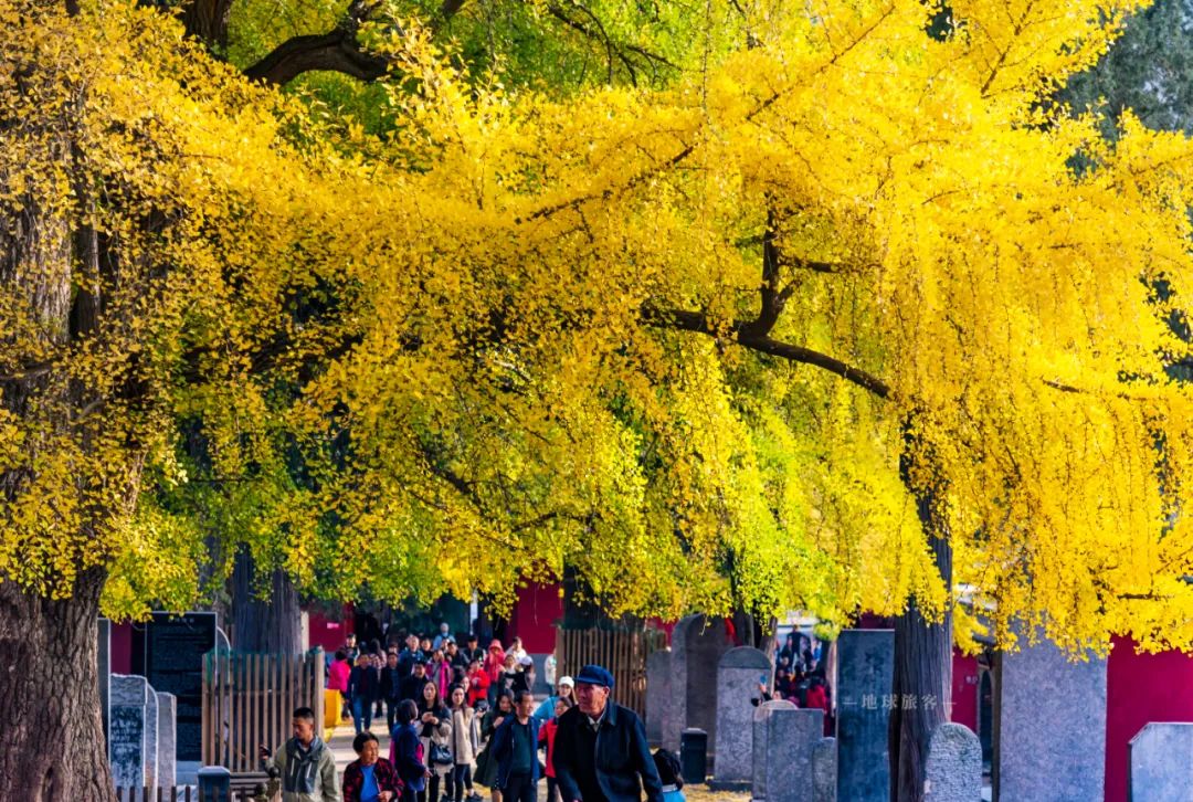 嵩山为什么是第一山,嵩山最有特色的山
