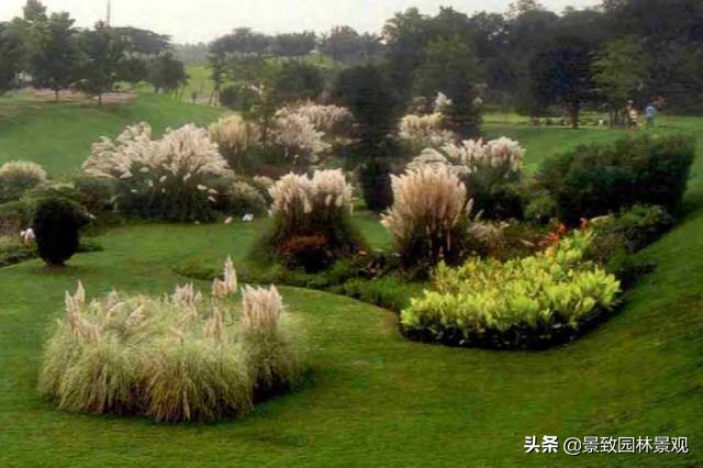 小区井盖景观美化,小区路面美化创意