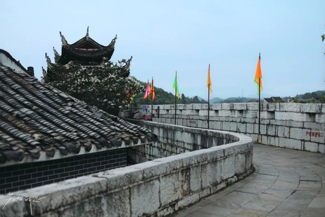 贵阳古镇卤猪蹄,去青岩古镇必吃哪家猪蹄