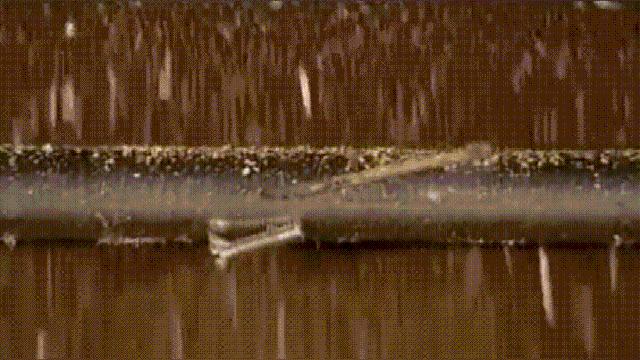 食用油是怎么榨出来的,食用油怎么压榨出来的