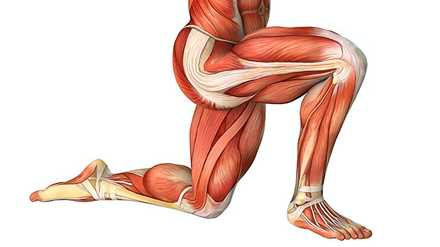 拉伸包双肩,拉伸治富贵包