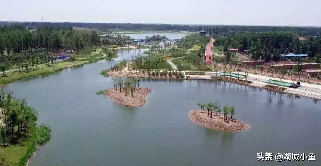 我叫枣强!这是我的最新简历