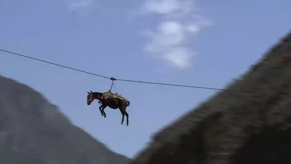 1992西藏砖茶,新疆的砖茶是什么茶