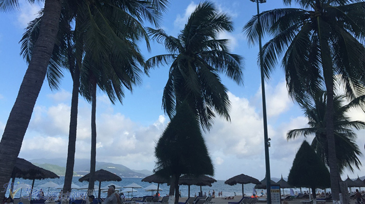 瓒婂崡鑺藉簞娴锋哗鏅尯瑙嗛,瓒婂崡鑺藉簞榛戝矝娴锋哗