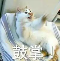 清洁面膜排行榜第一名真实测评,全网最真实面膜测评