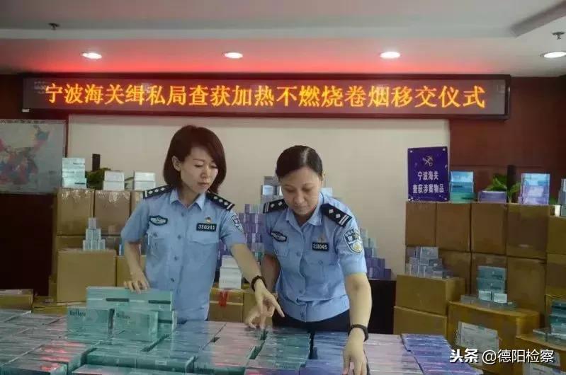 全国海关共立案侦办走私犯罪案例,公安打击走私的五种案件