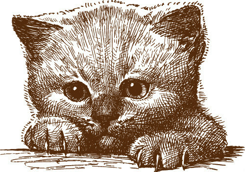 一百幅动物素描,近百幅动物画