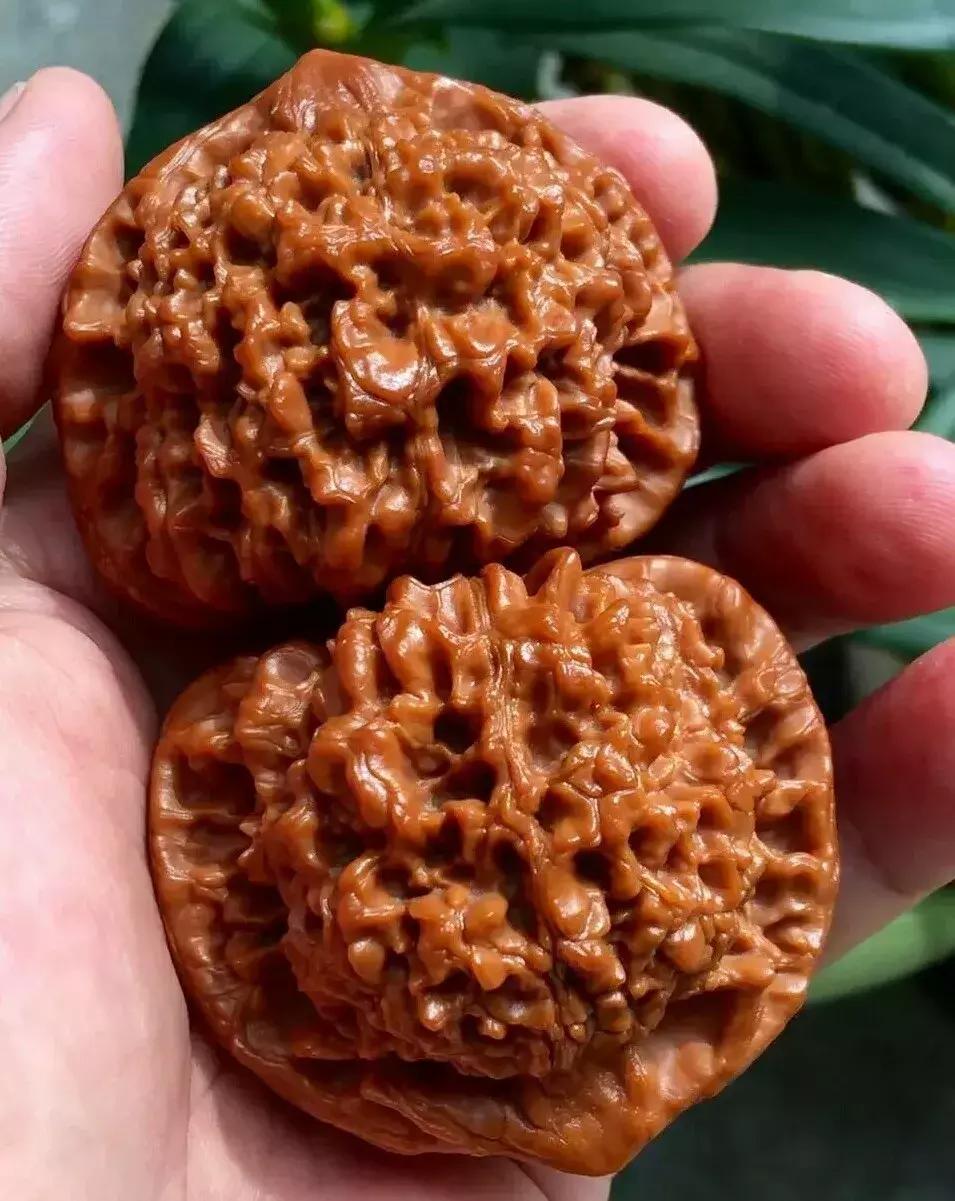 什么样的核桃漂亮,什么样的核桃不苦涩