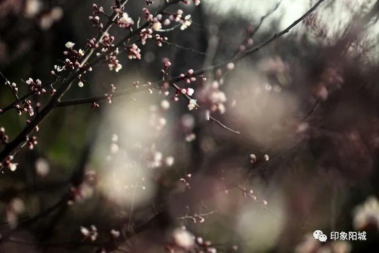 晋城哪里可以春游,晋城附近春游景点