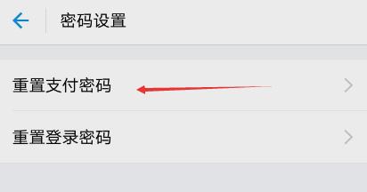 支付宝支付密码忘了怎么办有人脸,支付宝支付密码忘了怎么办小学生