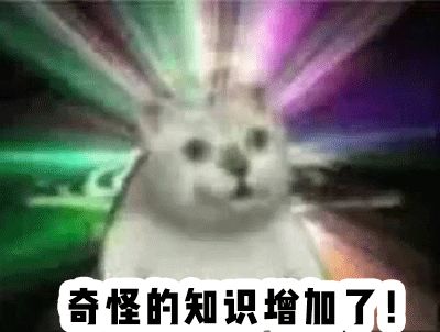 10元以内的好物假睫毛,10块一盒假睫毛