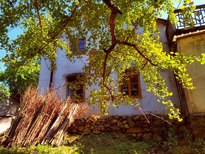 秋天的回忆完整版,秋天的回忆歌曲