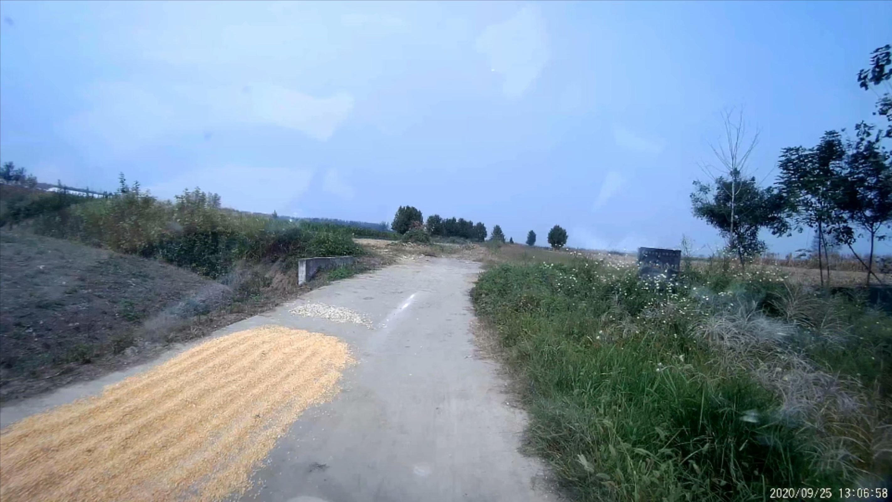 俞伯牙墓为什么在固镇,俞伯牙墓出土