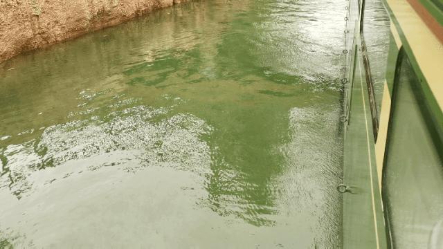 野生动物王国值不值得去,北方新开的动物王国