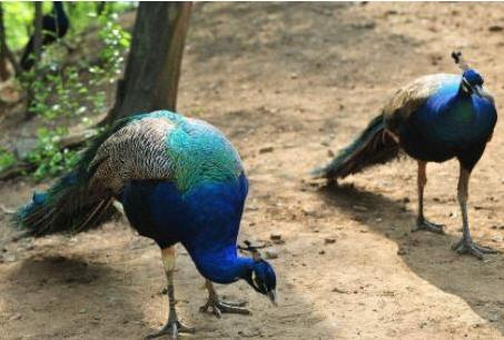 养殖户赚钱吗,养殖户一年能赚多少钱啊