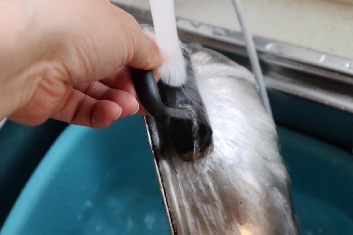 餐厅用的双灶电磁炉,米家双口电磁炉推荐