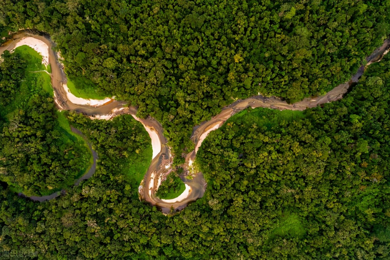 世界上最大的蛇居然不咬人,盘点世界上最大的蛇有多大