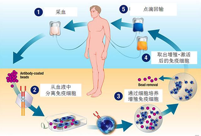 乳腺癌除了手术还有什么治疗方法,乳腺癌除了化疗还有什么好办法