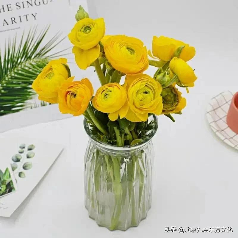 折花逢驿使寄与陇头人的意思,折花逢驿使寄与陇头人谁写的