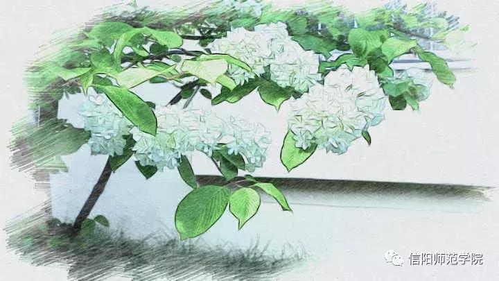 信阳师范学院写生作品,信阳师院高清图片