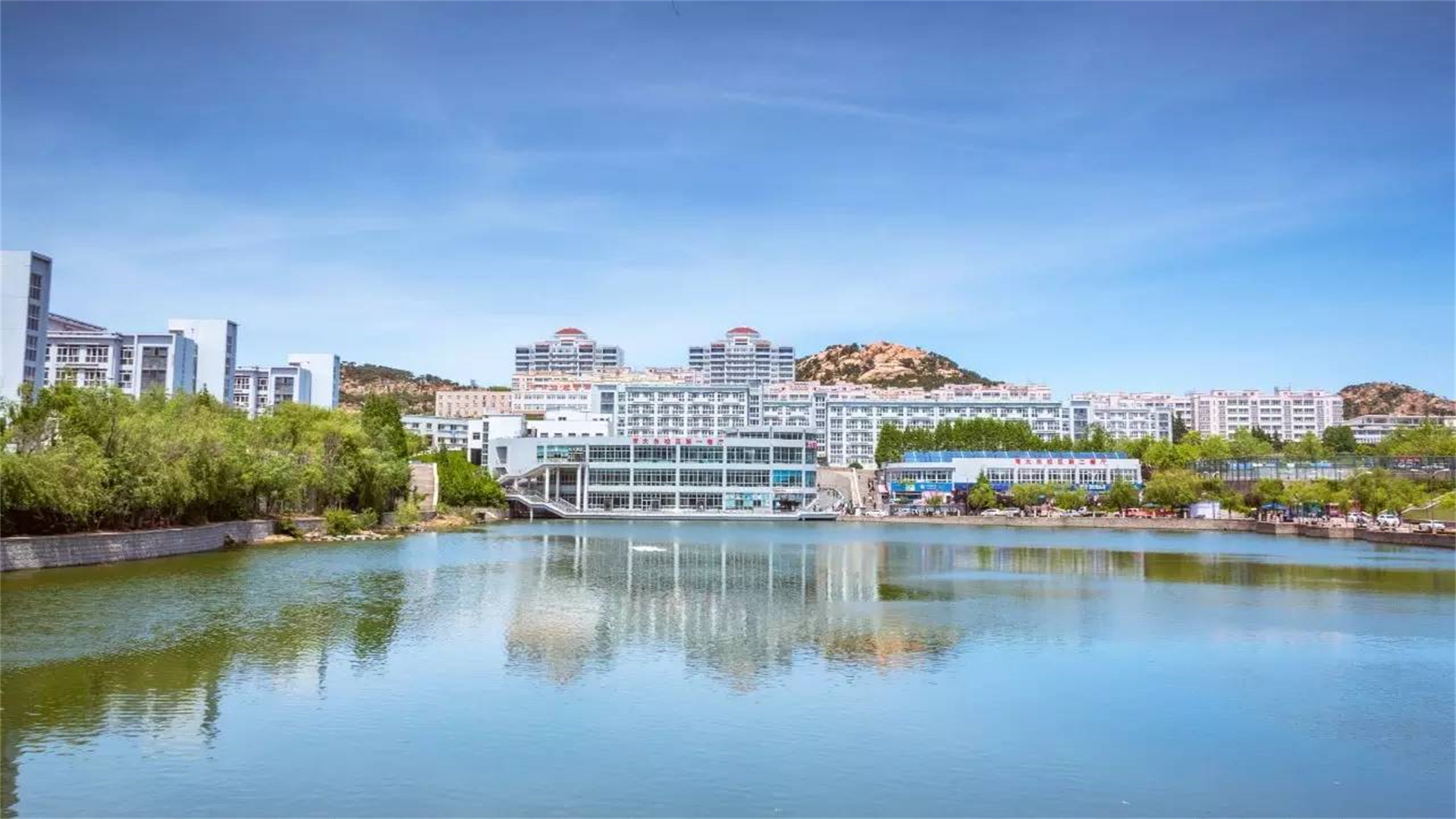 青岛大学国家重点学科有哪些,青岛大学软实力排名全国多少名