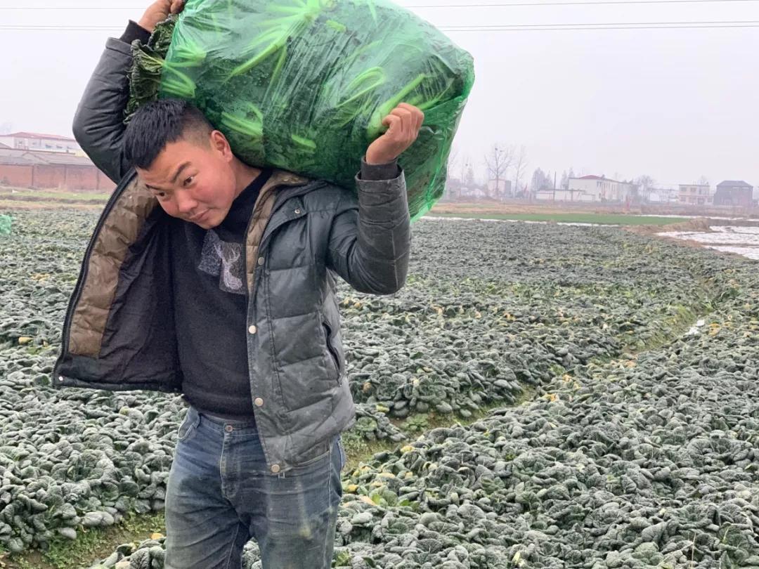 英雄辈出展才华,英雄辈出阿卡姆