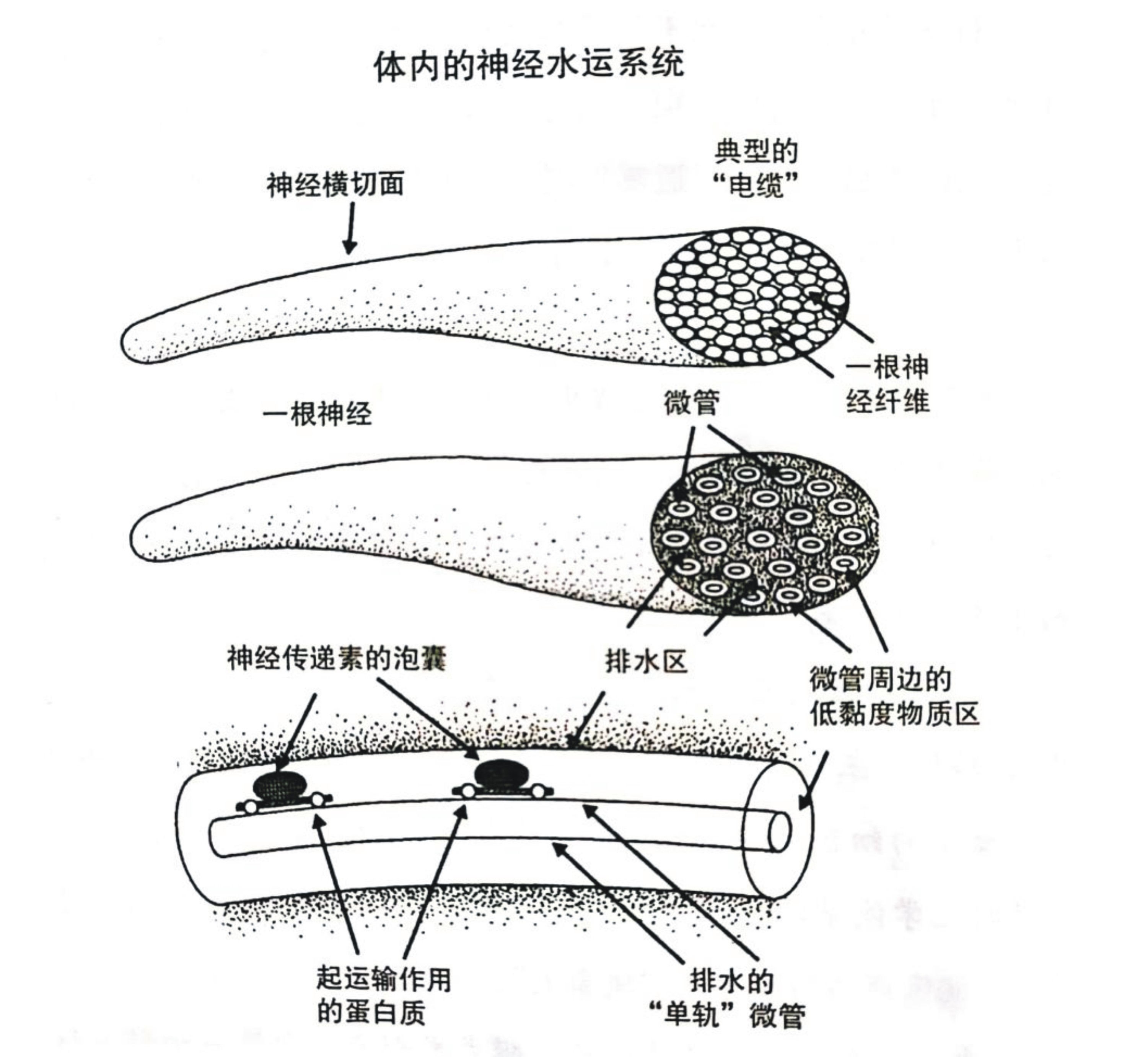 水是最好的药连载30,水是最好的药书籍