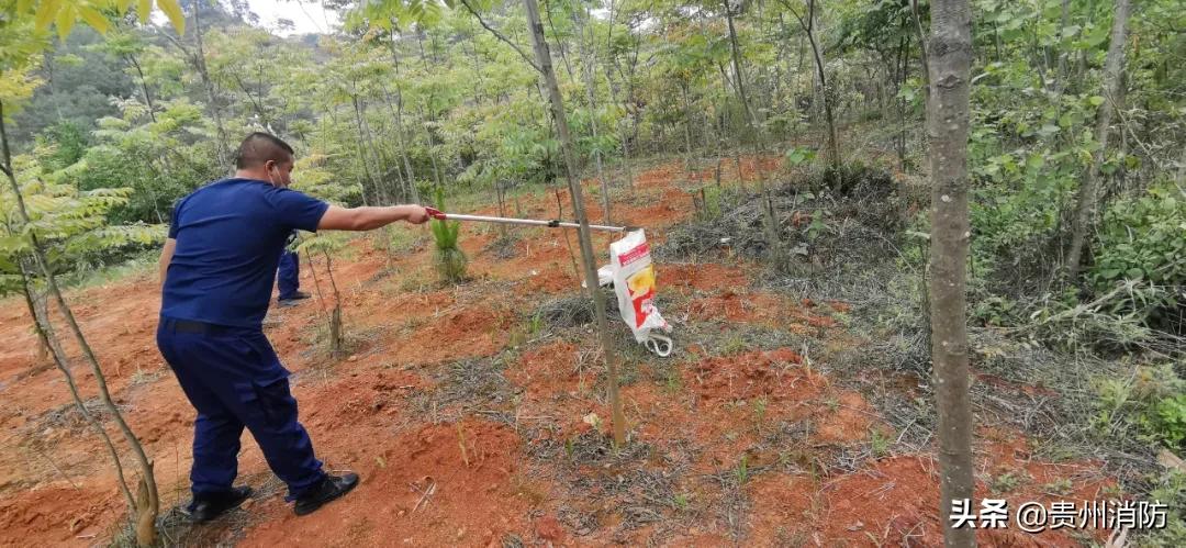 2米长蛇闯入房间,3米长蛇闯进浴室