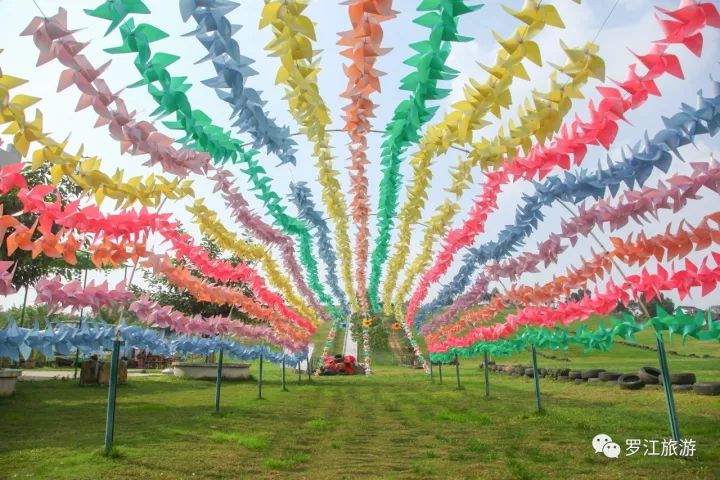 罗江赏梅花,罗江的礼物去哪买