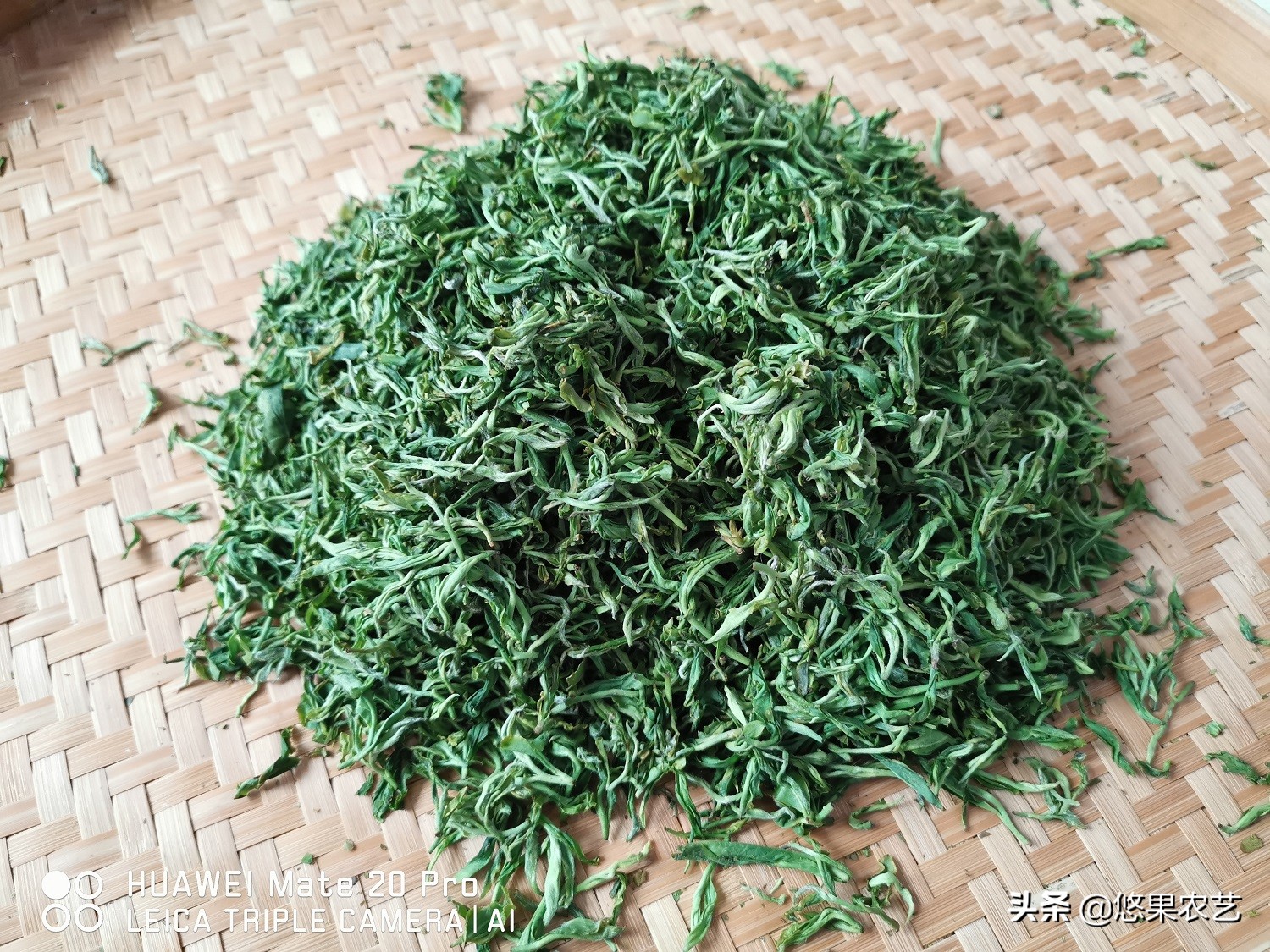 家庭茶叶炒制方法,春天炒绿茶