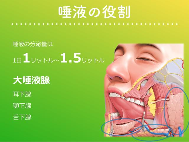 唾液也就是口水，每时每刻都在分泌，其中作用你知多少