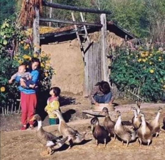 生活四事指衣食住行的意思,生活四事指衣食住行
