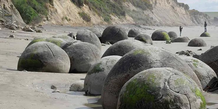 新西兰海边的巨石蛋,新西兰海滩神秘生物