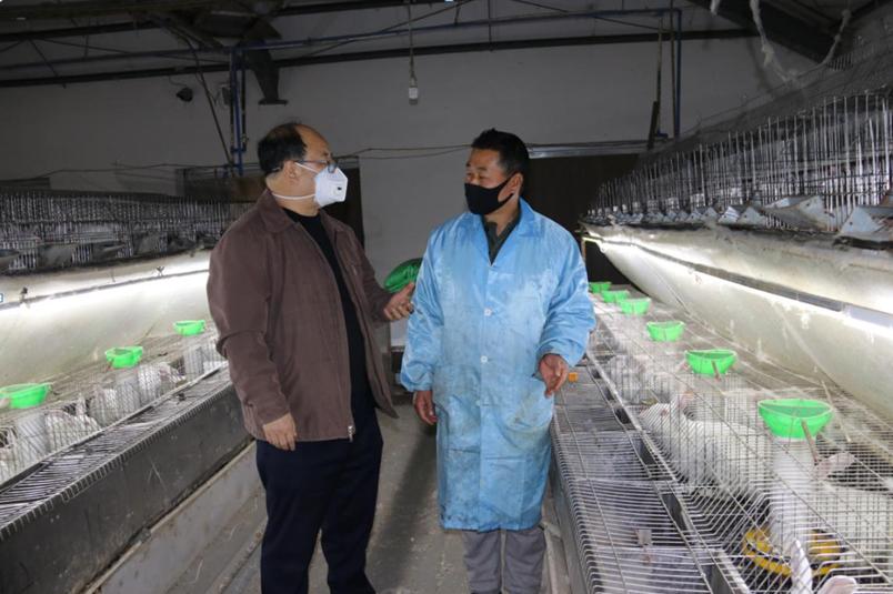 养兔与兔病诊断,养兔疾病防治程序