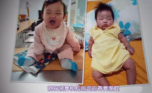 郑仁被虐待事件后续,被养父母领养最终结局