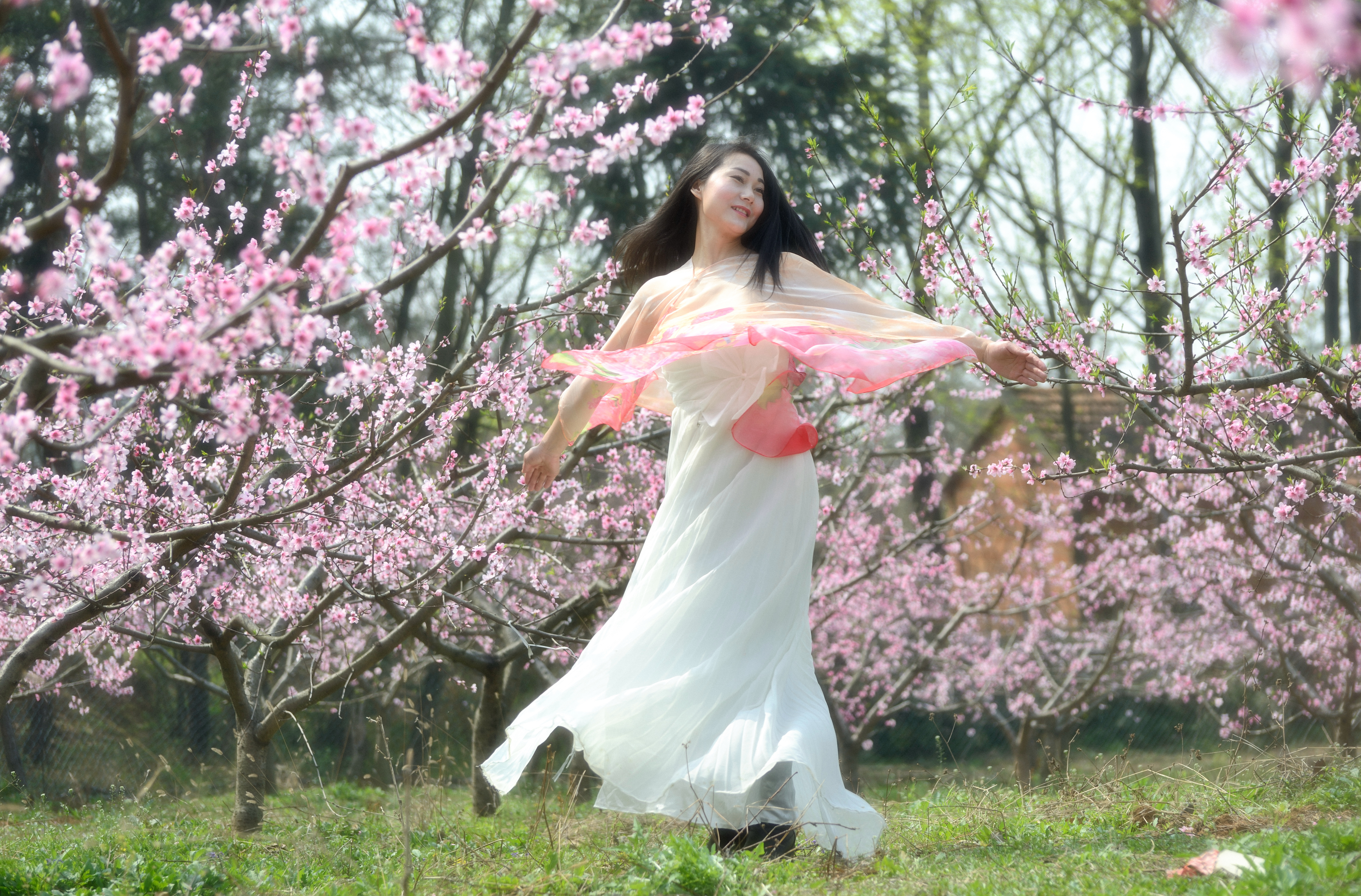 我与尼康北京行,尼康70-300mmf4.5-5.6g画质