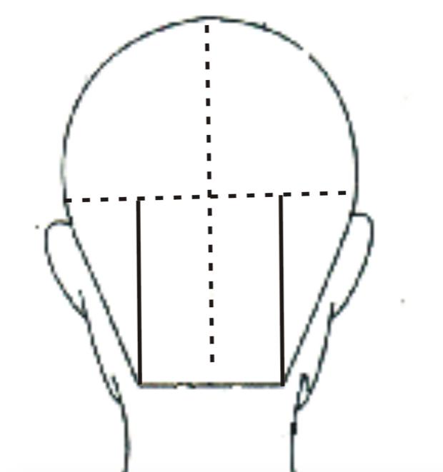 学美发基础从哪里开始,基础剪发美发培训