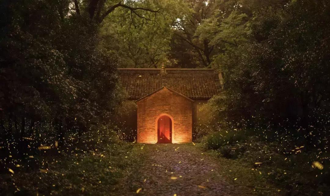 摄影后期萤火虫,浪漫摄影教学后期