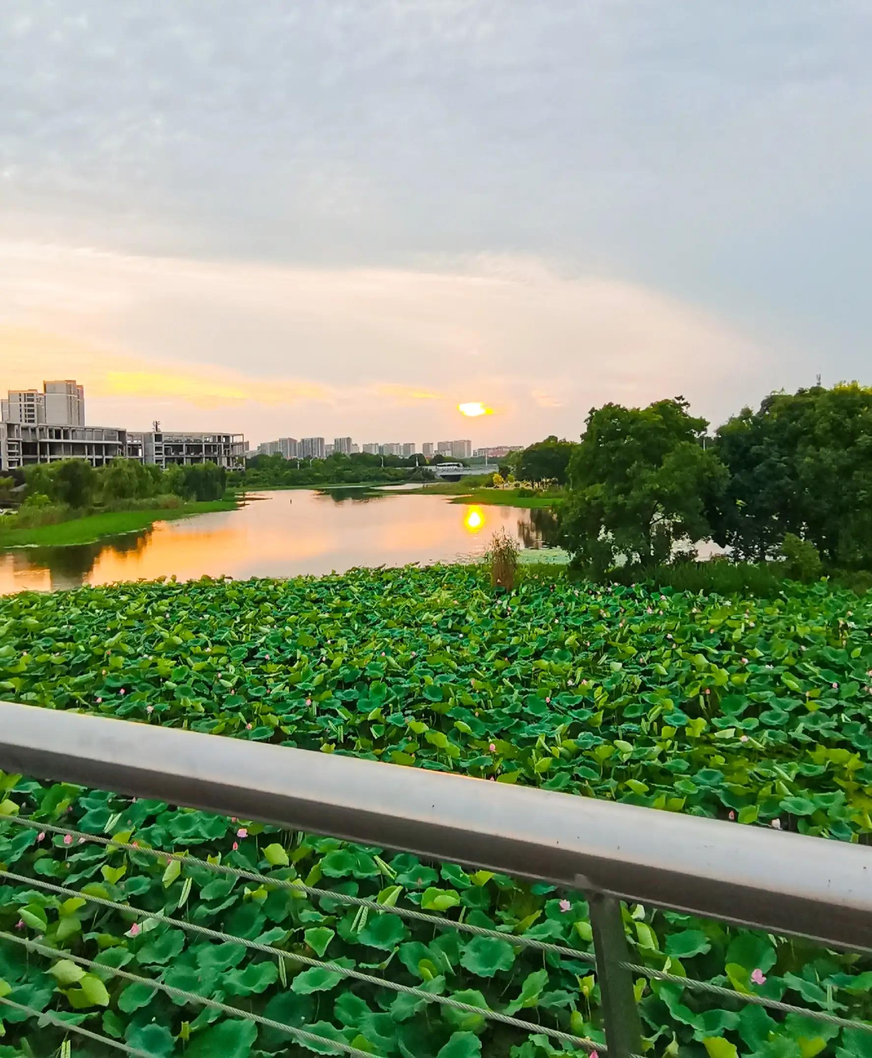从零开始做自媒体最好的方法,从零开始做自媒体具体步骤